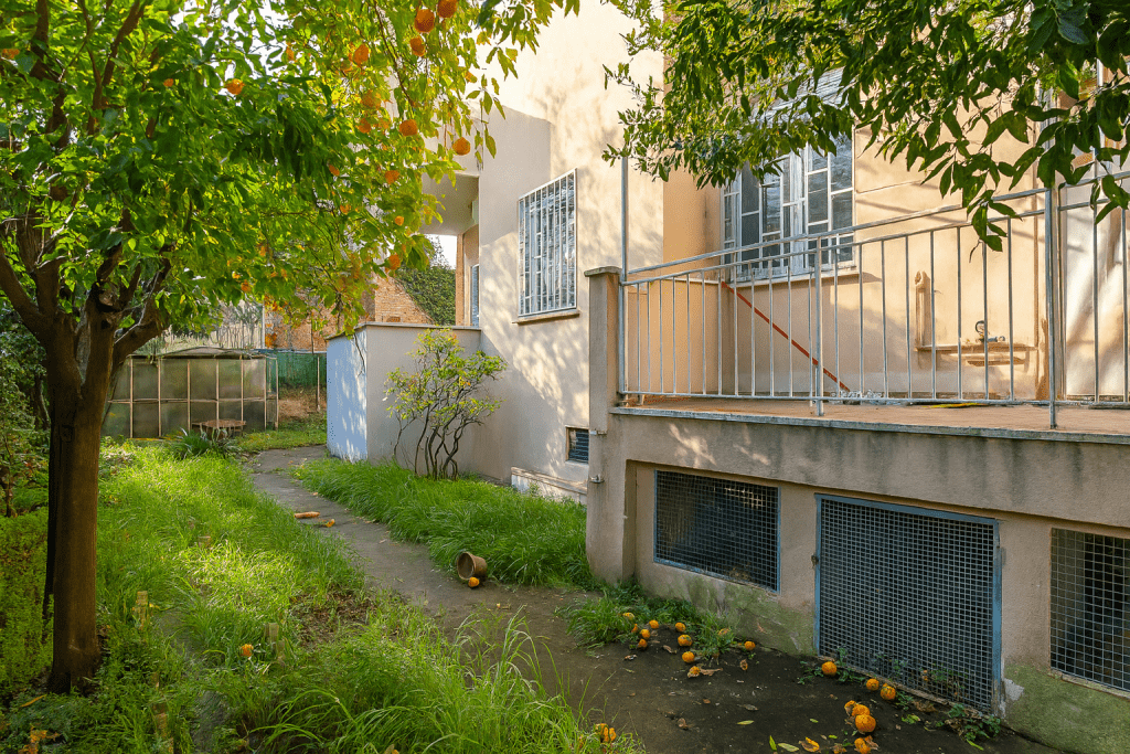 Giardino esterno trascurato con erba alta, frutti caduti sotto gli alberi e facciata della casa datata.