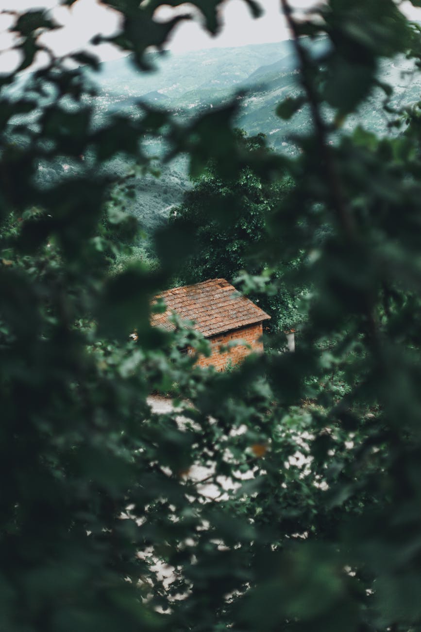 building roof behind green leaves
